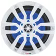 NXL-6 KAIUTIN, VALKOINEN - Veneaudio - M9514630010 - 1