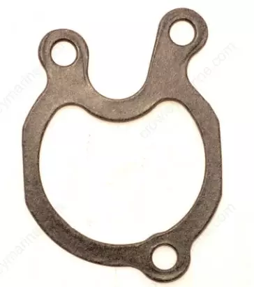 Tiiviste Vesipumppu/Gasket Evinrude/Johnson - Varaosat ja lisävarusteet - 51001 - 1