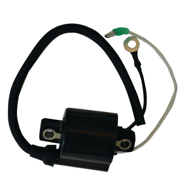 Cdi Elec. Ignition Coil 2 Cyl. Yamaha Enduro - Perämoottorin Sähköosat - D268821 - 1