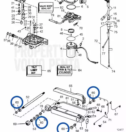 Holkki/Pusla/Trim Cylinder Pin Bushing Volvo penta SX-Vetolaite - Sisäperämoottorin osat - 15972 - 2