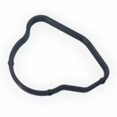 Termostaattikotelon Tiiviste/Seal Thermostat Cover Suzuki DF9.9-DF20 - Suzuki osat perämoottorille - 50822 - 1