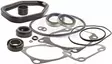 Gearcase Seal Kit/Alavaihteiston Tiivist - Evinrude/Johnson osat perämoottoreille - 5522 - 1