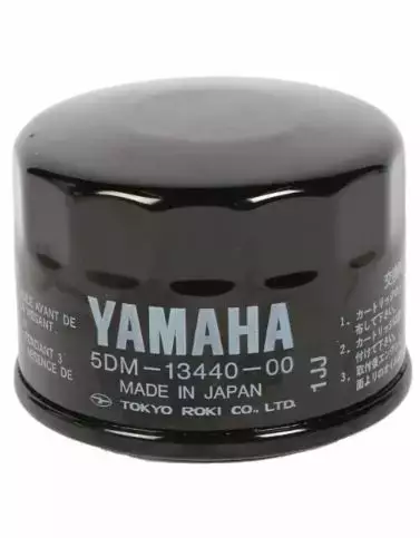 Öljynsuodatin/Elelent Assy Oil Cleaner Yamaha Moto XVS1300 FZS600 - Yamaha Moto - 17403 - 1