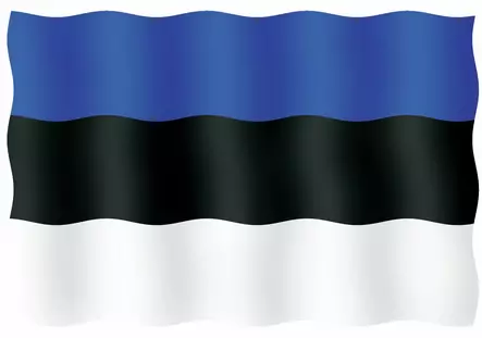 VIERAILULIPPU 20X30CM, VIRO - Lowrance vene-elektroniikka - M9519033103 - 1