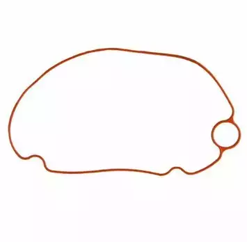 Tiiviste Fuel Injection Pump/Gasket Float Chamber Yamaha F115-F350hv - Yamaha muut - 41143 - 1