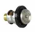 Termostaatti/Thermostat (50C) Suzuki DT9.9-DT65 DF40-DF70 - Suzuki osat perämoottorille - 41643 - 1