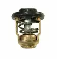 Termostaatti/Thermostat Yamaha F2.5A/B - Yamaha muut - 38363 - 1