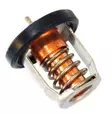 Termostaatti/Thermostat Water (60?C) Suzuki DF8-DF30 - Suzuki osat perämoottorille - 50873 - 1