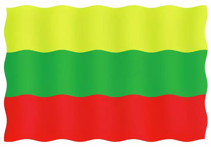 VIERAILULIPPU 20X30CM, LIETTUA - Lowrance vene-elektroniikka - M9519033133 - 1