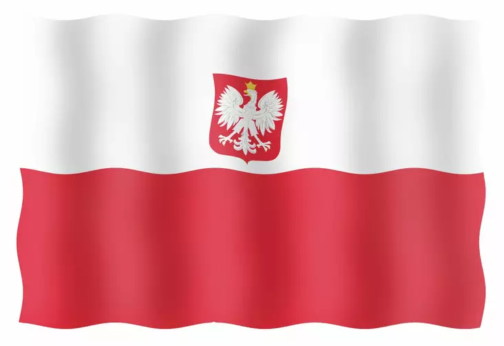 VIERAILULIPPU 20X30CM, PUOLA - Lowrance vene-elektroniikka - M9519033113 - 1