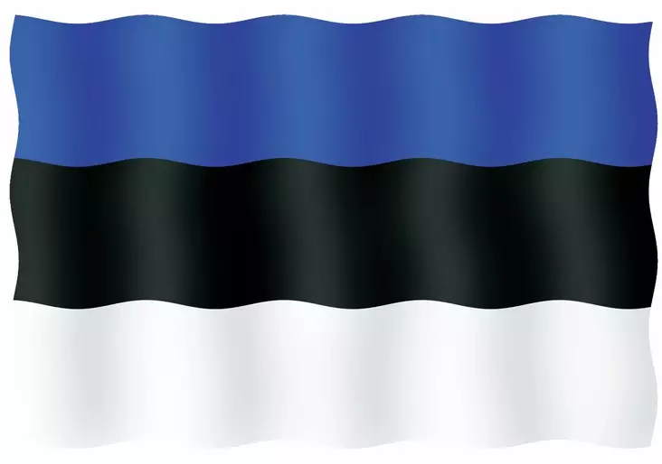 VIERAILULIPPU 20X30CM, VIRO - Lowrance vene-elektroniikka - M9519033103 - 1