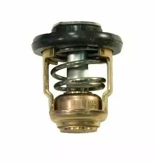 Termostaatti/Thermostat Yamaha F2.5A/B - Yamaha muut - 38363 - 1