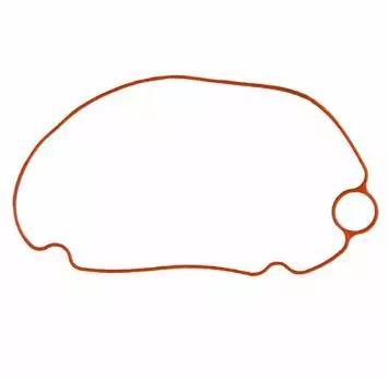 Tiiviste Fuel Injection Pump/Gasket Float Chamber Yamaha F115-F350hv - Yamaha muut - 41143 - 1