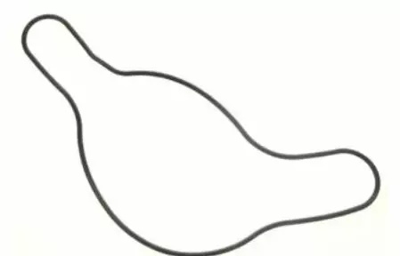 Tiiviste Öljypumppu/Gasket Pump Cover Yamaha F150A/B/D/F - Yamaha muut - 41013 - 1