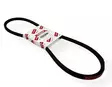 Laturinhihna/V-Belt A40 Yanmar 3HM35F - Yanmar moottorin alkuperäisosat - 50524 - 1