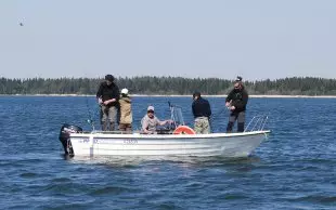 Paro 520 RX vene ilman moottoria pitkä riki sis tyynyt - Paro Lasikuituveneet - 41095 - 2