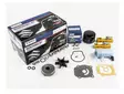 Huoltosarja/Maintenance Kit Suzuki DF20/25 V2 (2006->) - Suzuki osat perämoottorille - 50545 - 1