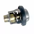 Termostaatti Suzuki F25-DF70 Thermostat - Suzuki osat perämoottorille - 38685 - 1