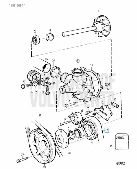 Kiilahihna/Drive Belt Vesipumppu Volvo Penta (Water Pump) - Sisäperämoottorin osat - 6886 - 2