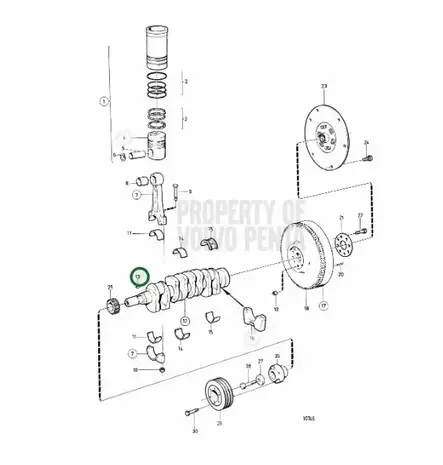 Kiila/Woodruff Key Volvo Penta (Cranksha - Sisäperämoottorin osat - 7156 - 2