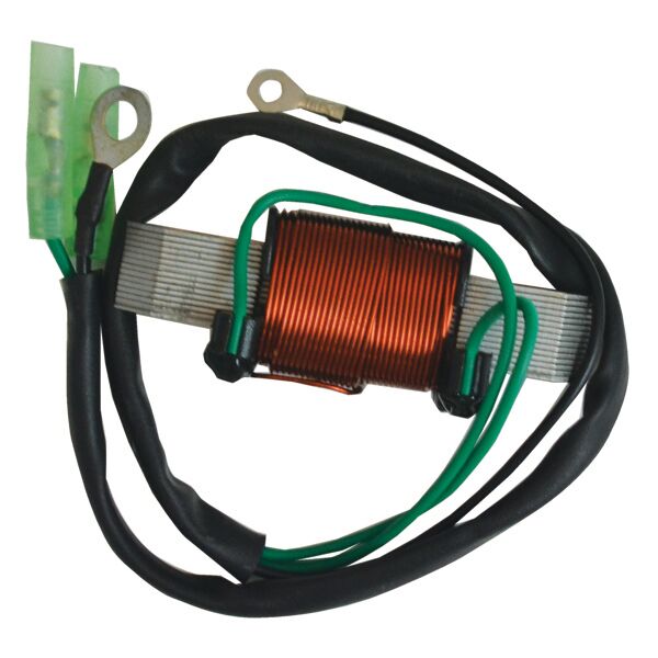 Cdi Elec. Lighting Coil, Yamaha Enduro, 2Cyl. - Perämoottorin Sähköosat - D268817 - 1