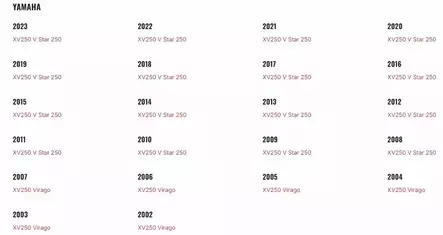 Öljynsuodatin/Element Assy Oil Cleaner Yamaha Moto XV250 Virago - Yamaha Moto - 25128 - 2