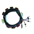 Cdi Elec. Yamaha Stator, 4 Cyl. - Perämoottorin Sähköosat - D186088 - 1