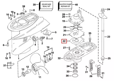 Tiiviste Vesipumppu/Gasket Pump Case Plate Evinrude/Johnson 25-50hv - Evinrude/Johnson osat perämoottoreille - 52569 - 1