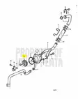 Hammaspyörä Merivesipumppu/Gear Volvo Penta 2001-2003-sarja - Sisäperämoottorin osat - 6819 - 2