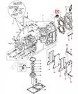 Termostaatti/Thermostat Tohatsu M8B-M18E2 - Tohatsu osat perämoottoreille - 51069 - 1