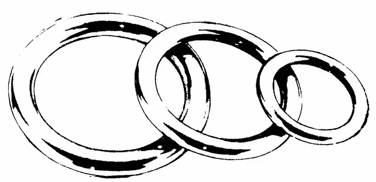RENGAS 12 X 70 MM AISI 316 - Lowrance vene-elektroniikka - M9513060016B - 1